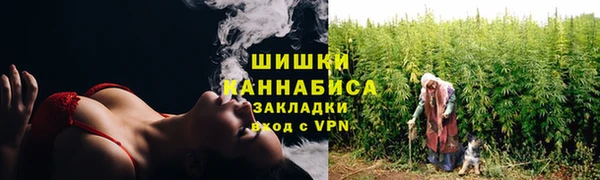 молекула духа Покров