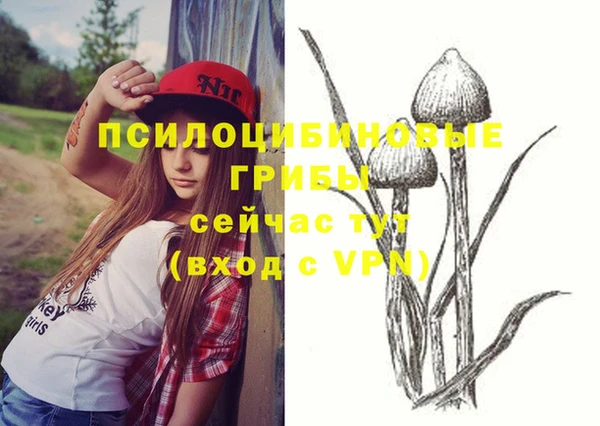 молекула духа Покров