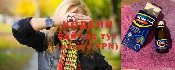 молекула духа Покров